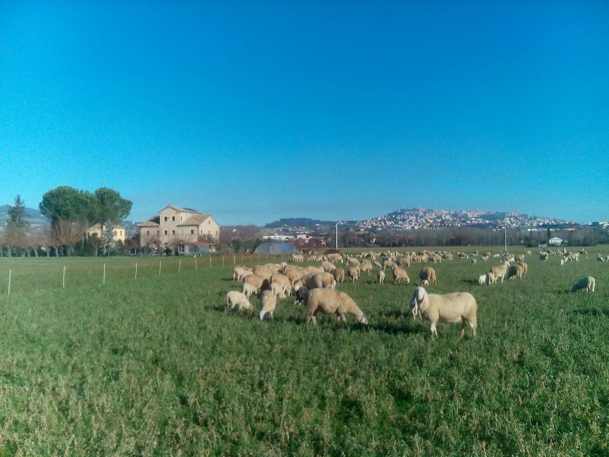 Alla Bigattiera Osimo Εξωτερικό φωτογραφία